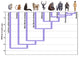 Human Evolution Fine Art Print by Science Source