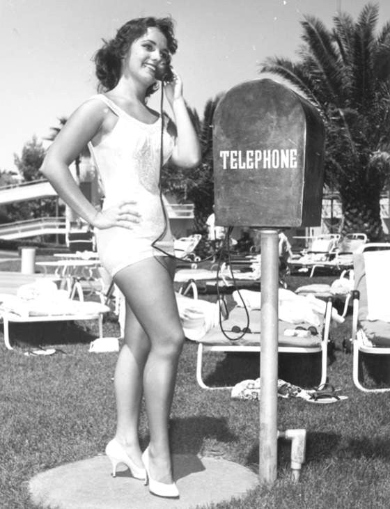 Dawn Wells Telephone Photo Print - Available in Multiple Sizes