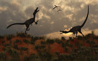 Territorial Dispute Between Velociraptors Fine Art Print