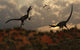Territorial Dispute Between Velociraptors Fine Art Print