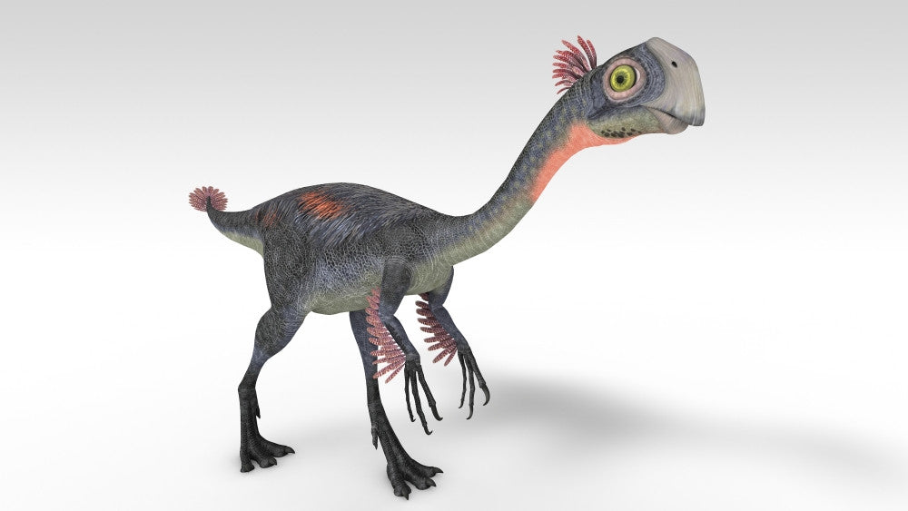 Gigantoraptor Dinosaur Fine Art Print on White Background