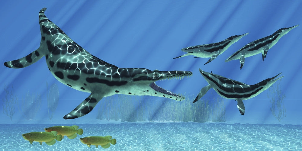 Dolichorhynchops Escape from Kronosaurus Fine Art Print