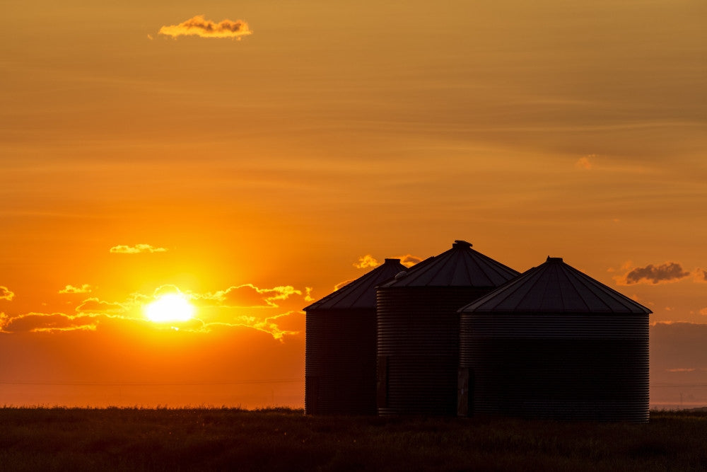 Silhouette of Grain Bins at Sunrise Fine Art Print by Michael Interisano