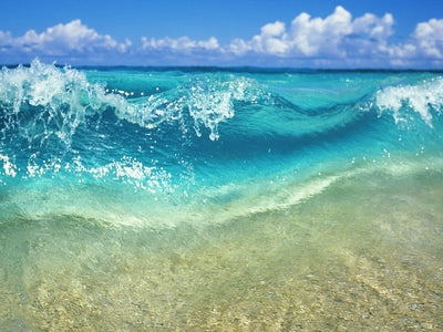 Hawaii Art