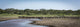 Wildebeest Panorama Fine Art Print by Nick Dale - Serengeti