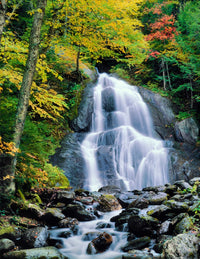 Moss Glen Falls Forest Waterfall Fine Art Print by Panoramic Images