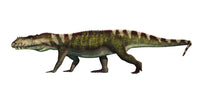 Prestosuchus Archosaur Fine Art Print by Arthur Dorety