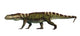 Prestosuchus Archosaur Fine Art Print by Arthur Dorety