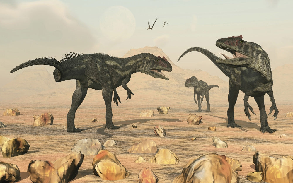 Allosaurus Dinosaur Fine Art Print by Stocktrek Images