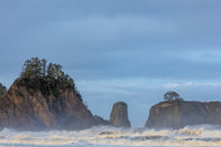 Sea Stacks and Waves at First Light - Rialto Beach Fine Art Print by Chuck Haney