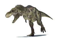 3D Rendering of Tyrannosaurus Rex Dinosaur Fine Art Print
