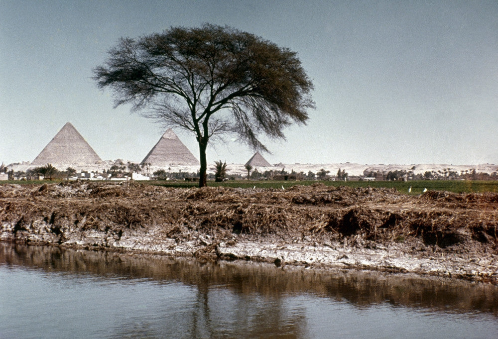 The Nile and Pyramids at Giza Fine Art Print by Granger Collection