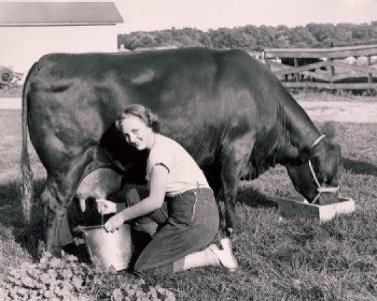 Portrait of a Young Woman Milking a Cow Fine Art Print