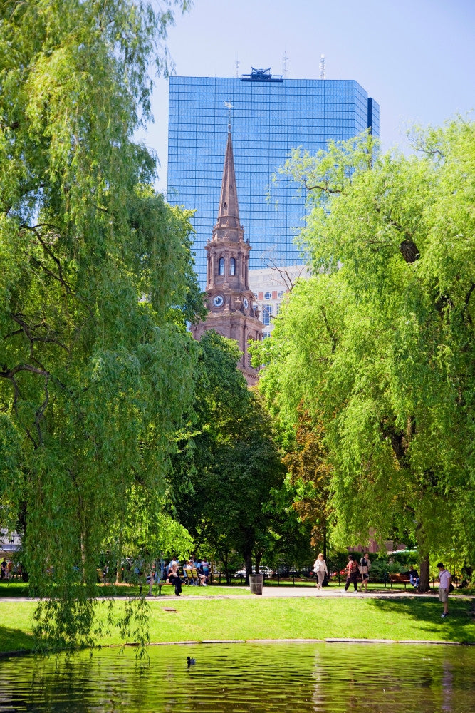 Public Garden and Boston Common Summer Fine Art Print by Panoramic Images