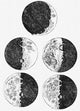 Galileo's Phases of the Moon Poster Print - Item # VARPSTSTK203468S