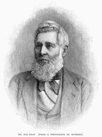 Asa Gray American Botanist Wood Engraving Fine Art Print (1884) by Granger Collection