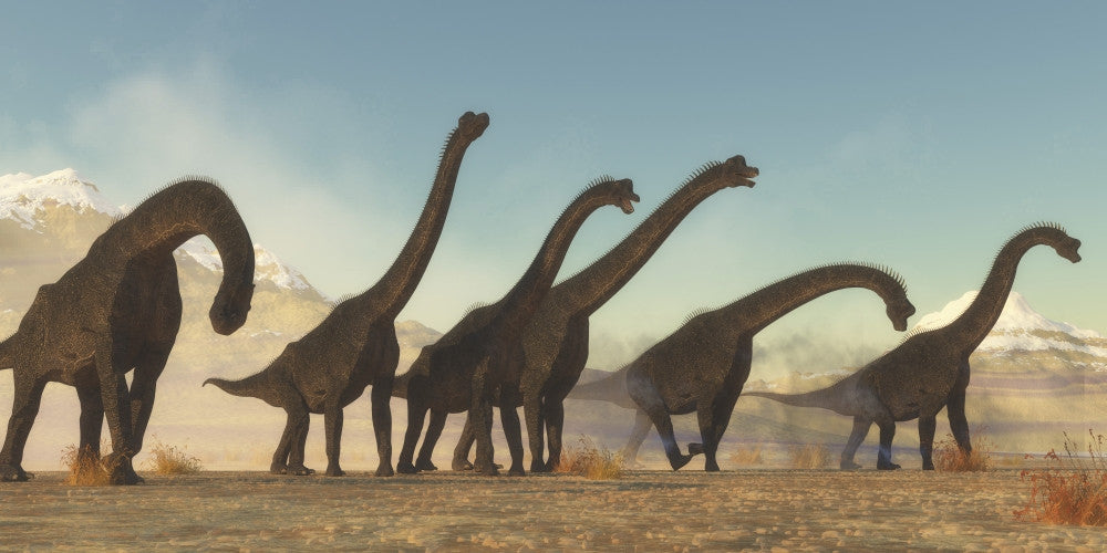 Brachiosaurus Dinosaur Herd Fine Art Print by Corey Ford