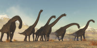 Brachiosaurus Dinosaur Herd Fine Art Print by Corey Ford
