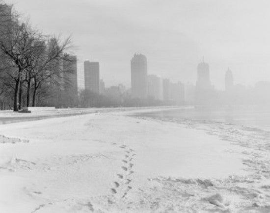 Chicago Winter Cityscape Fine Art Print | Posterazzi