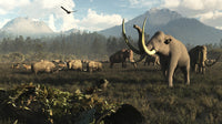 Columbian Mammoths and Bison on the Ancient Plains Fine Art Print