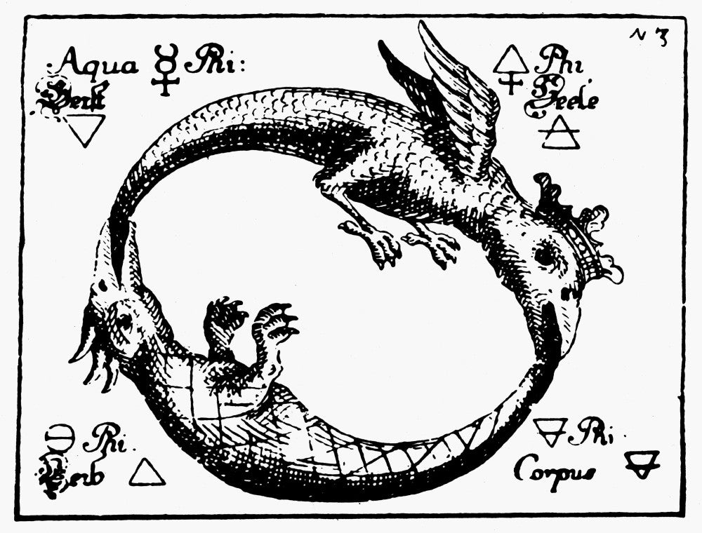 Ouroboros Crowned Double-Dragon Fine Art Print - 1760
