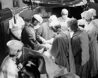 High Angle View of Surgeons Performing Surgery Fine Art Print