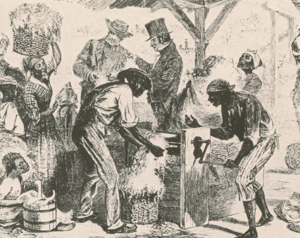Eli Whitney's Cotton Gin 1869 Fine Art Print by Science Source