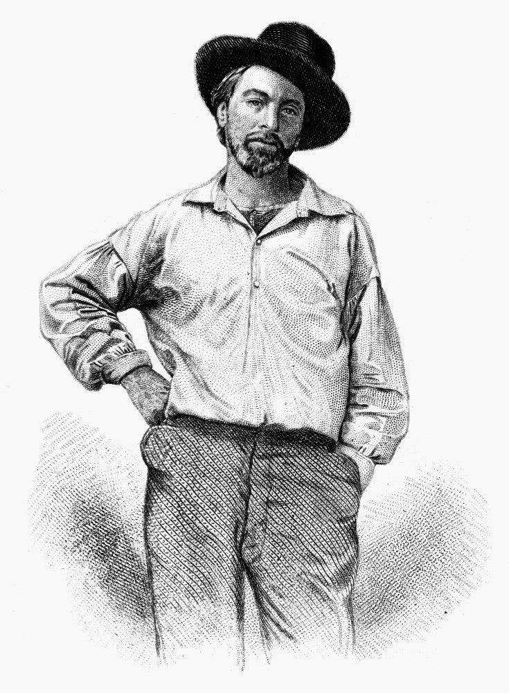 Walt Whitman Engraved Frontispiece Art Print - Leaves of Grass