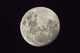 The Moon from Southern Hemisphere - Melbourne, Australia Poster Print