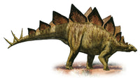 Stegosaurus Armatus Fine Art Print - Prehistoric Dinosaur