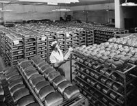 Female Bakery Worker at Pepperidge Farm in Norwalk, CT Poster Print
