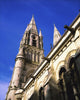 Saint Finbarre's Cathedral Fine Art Print by The Irish Image Collection