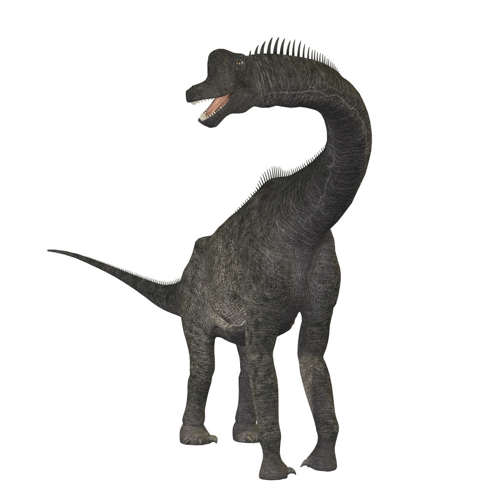 Brachiosaurus Dinosaur Fine Art Print - Various Sizes