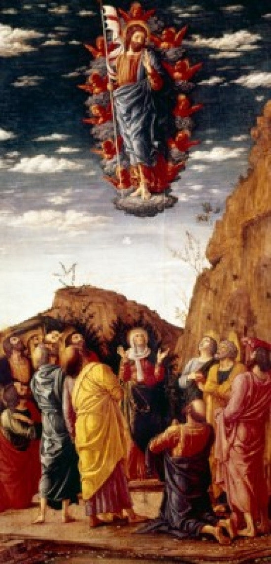 Ascension Fine Art Print by Andrea Mantegna - Galleria Degli Uffizi