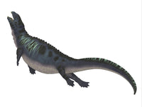 Placodus Aquatic Reptile Fine Art Print by Corey Ford