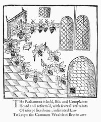 Parliament of Bees Woodcut Print from John Day's 1641 Play