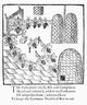 Parliament of Bees Woodcut Print from John Day's 1641 Play