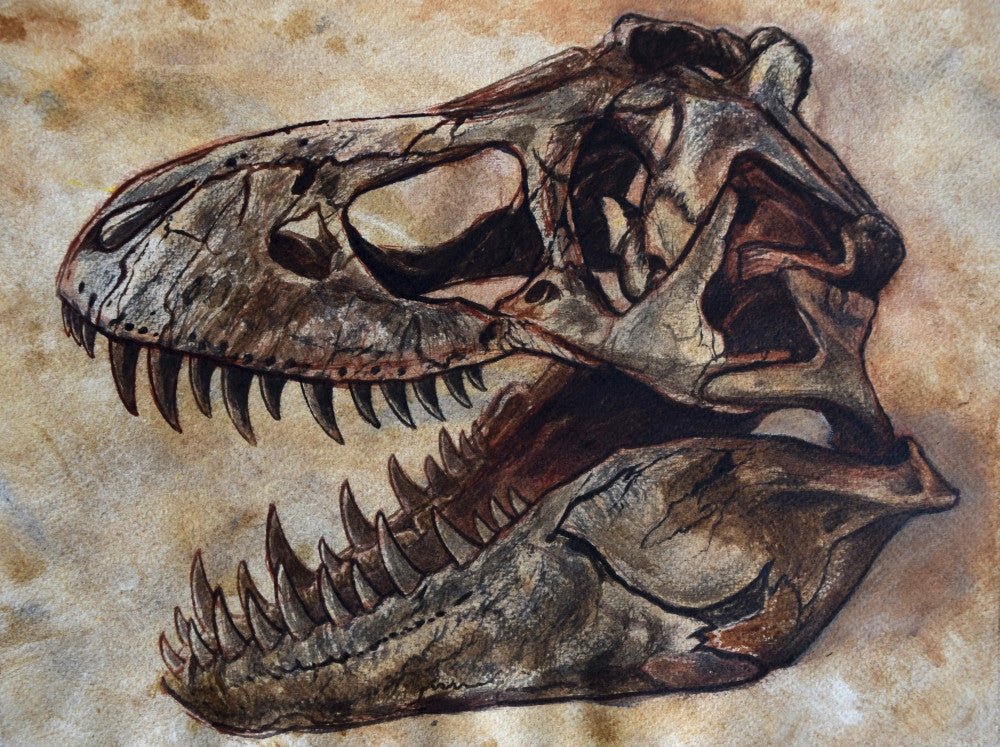 Tyrannosaurus Rex Skull Fine Art Print on Textured Background