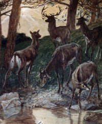 As Pants the Hart Fine Art Print by James Tissot