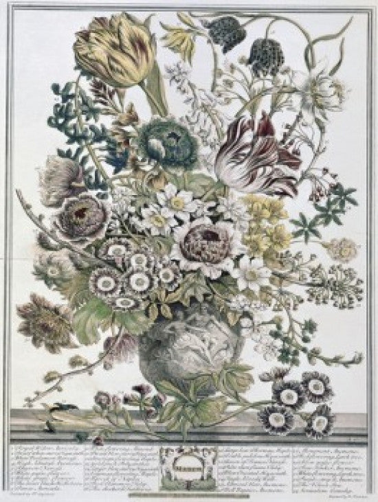 March 1730 Lithograph Fine Art Print by H. Fletcher