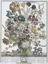 March 1730 Lithograph Fine Art Print by H. Fletcher