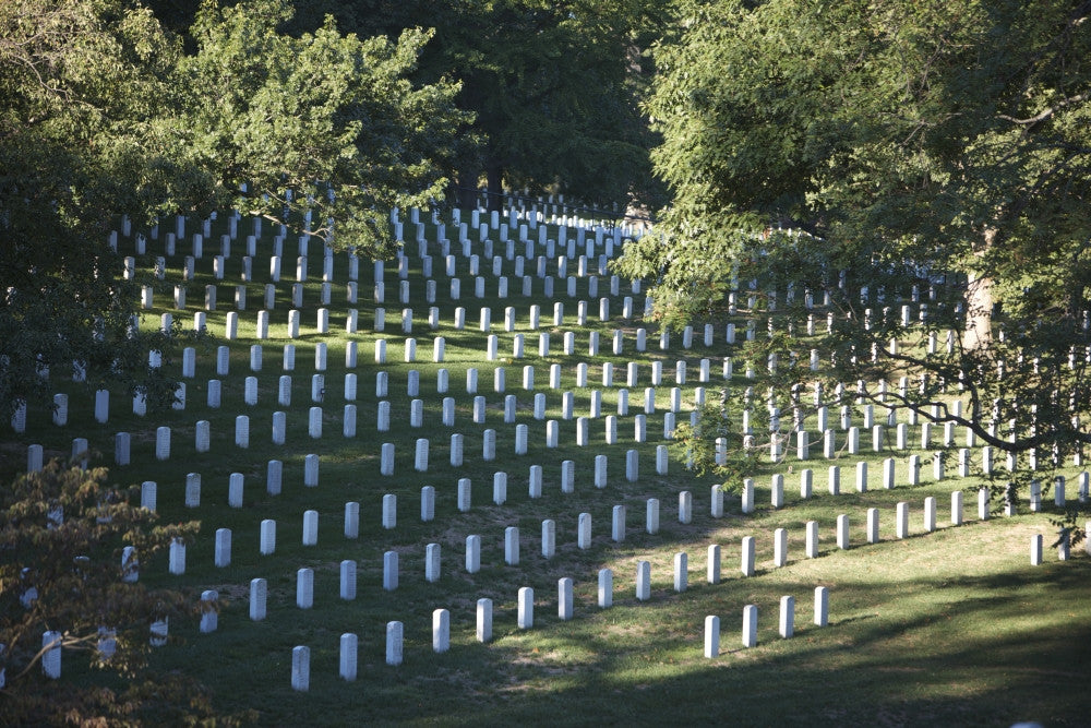 Arlington National Cemetery Fine Art Print | Posterazzi
