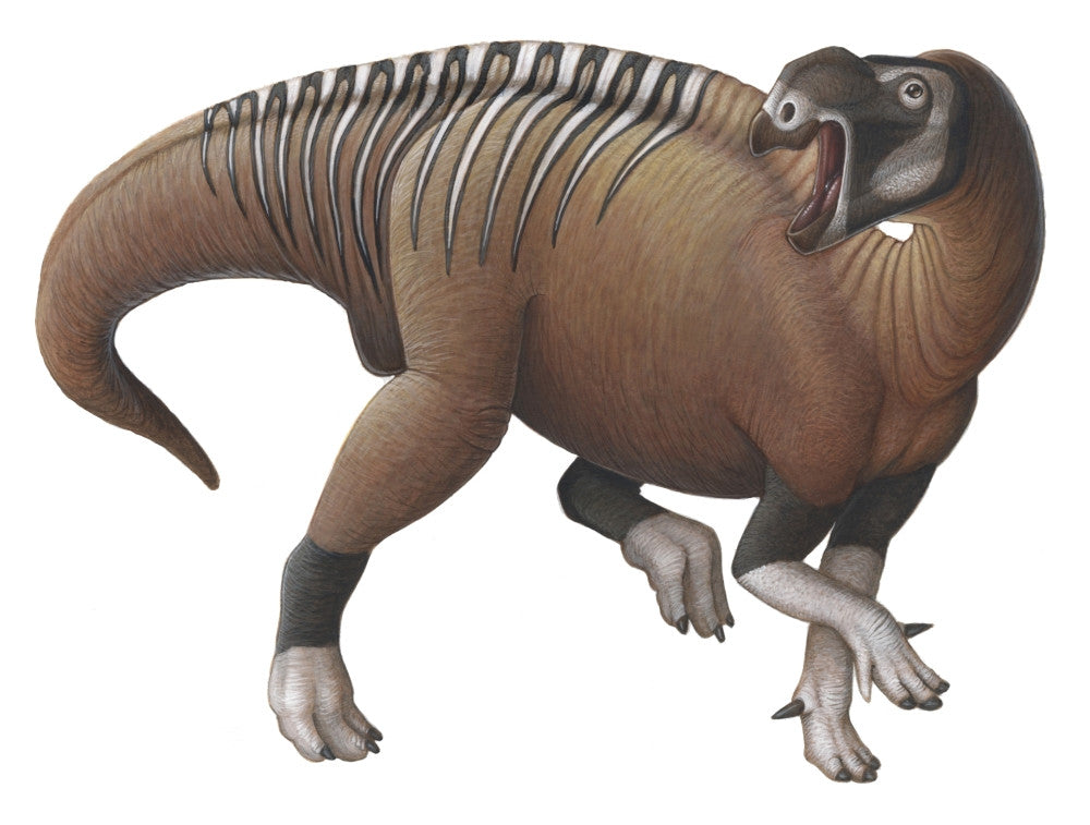 Muttaburrasaurus Dinosaur Fine Art Print from the Early Cretaceous