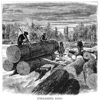 Minnesota Logging Scene Fine Art Print - Wood Engraving, 1870