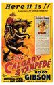 The Calgary Stampede Movie Poster (11x17) - Item #MOV196943