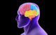 Conceptual Human Brain Fine Art Print - Perfect for Home or Office