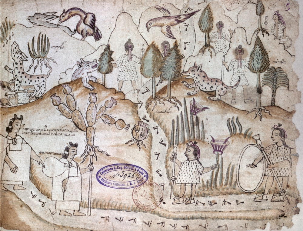 Aztecs in Wilderness Fine Art Print - Aztec Drawing by Granger Collection