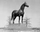 Man o' War Statue Fine Art Print - Kentucky Horse Park
