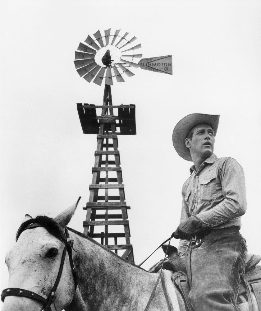 Paul Newman in Hud Movie Poster Print by Granger Collection