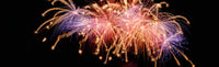 Cluster of Fireworks Exploding Fine Art Print
